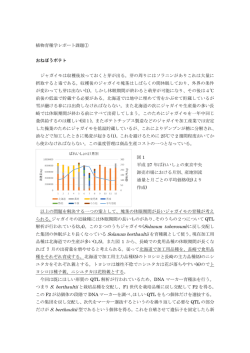 植物育種学レポート課題① おねぼうポテト ジャガイモは収穫後放っておく