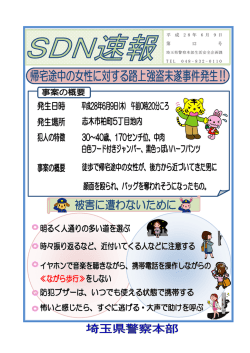 SDN第12号