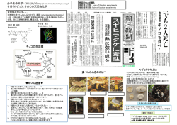 第8回