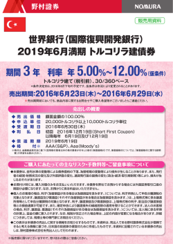 （国際復興開発銀行）2019年6月満期 トルコリラ建債券
