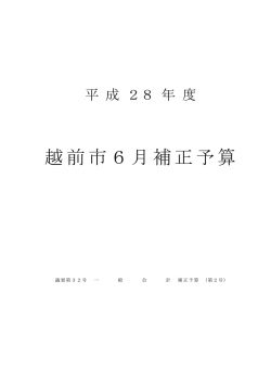 H28hosei6（PDF形式：94KB）