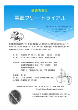 資料ダウンロード