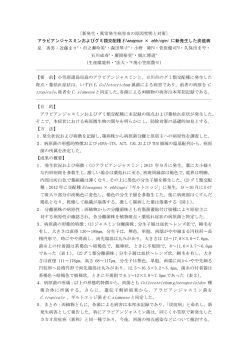 （案）