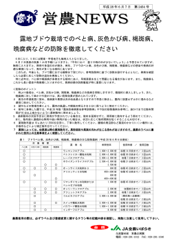 露地ブドウ栽培でのべと病、灰色かび病、褐斑病、 晩腐病などの防除を