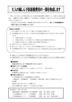 大人の風しん予防接種