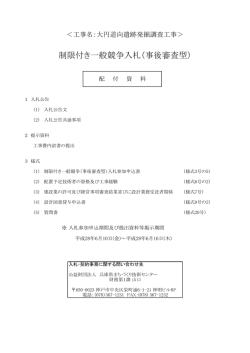 制限付き一般競争入札（事後審査型）