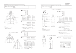 ORDER SHEET - AFDICEGEAR