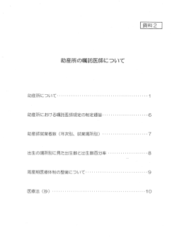 96B391E8