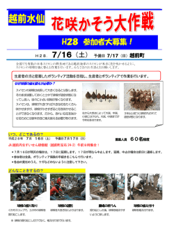 H28ボランティア募集ちらし（PDF形式 737キロバイト）