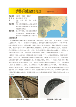 戸田小柳遺跡第3地点（厚木市No.137）