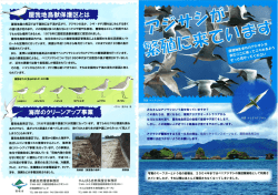 Page 1 屋我地鳥獣保護区とは 屋我地島の周辺では干潮時には干潟が