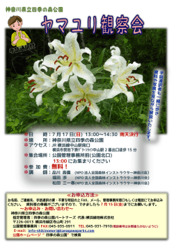 ヤマユリ観察会