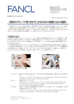 角層中のタンパク質「HSP27」がかゆみの指標に