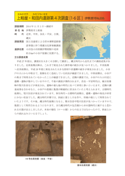 上粕屋・和田内遺跡第4次調査1-6区（伊勢原市No.206）
