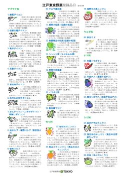 江戸東京野菜42品目を掲載しました（PDF）