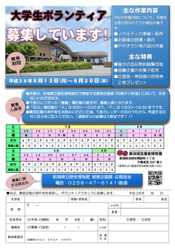 主な作業内容 主な特典