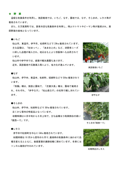 基幹作目とその概要（野菜）（PDF：135KB）