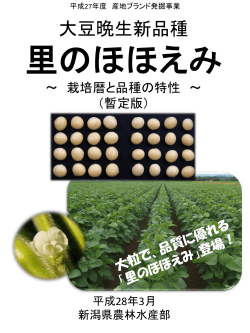 大豆晩生新品種 里のほほえみ ～ 特徴と〇〇栽培のポイント ～