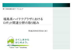 プレゼン資料（抜粋版）