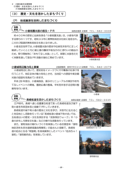 （ア）地域資源を活用したまちづくり（PDF形式：378KB）