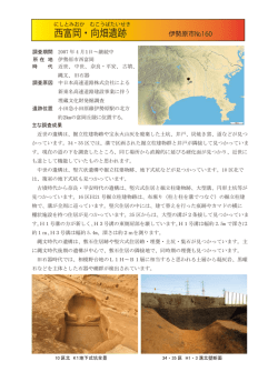 西富岡・向畑遺跡（伊勢原市No.160）