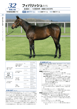 フィバリッシュの15