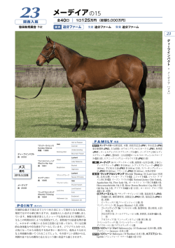 メーデイアの15