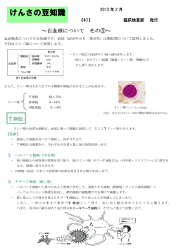 ［41］～白血球について その3