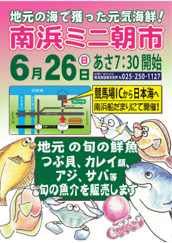 新潟漁協 南浜支所