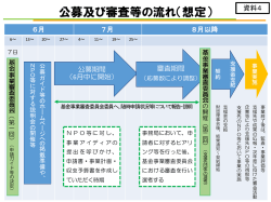 資料4 公募及び審査等の流れ（想定）（PDF形式：128KB）