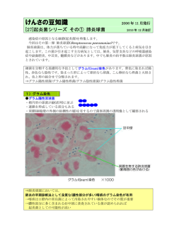 ［27］起炎菌シリーズ その1 肺炎球菌
