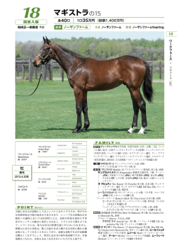 マギストラの15