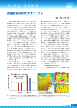 数値実験炉研究プロジェクト / 堀内 利得