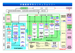 栄 養 健 康 学 科 カ リ キ ュ ラ ム ツ リ ー