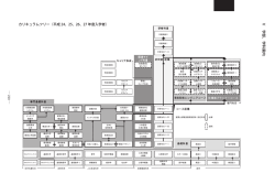 （平成24、25、26、27 年度入学者）［PDF］