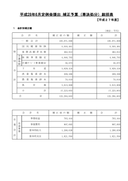 平成28年6月定例会提出 補正予算（専決処分）総括表