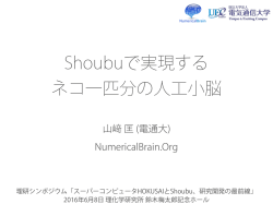 講演資料 - 理化学研究所情報基盤センター