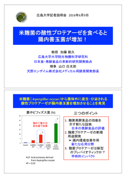 記者説明会配布資料