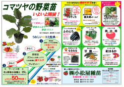 株式会社小松屋種苗