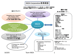 IBIZA Corporation事業概要