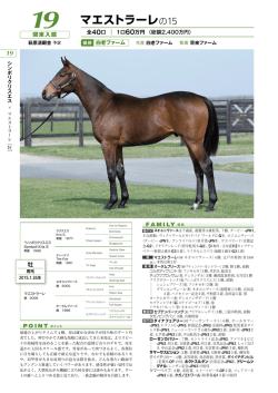 マエストラーレの15