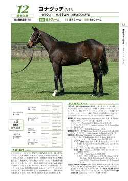 ヨナグッチの15