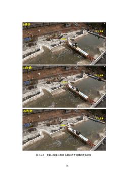 全文(5)（PDF 4.36MB）