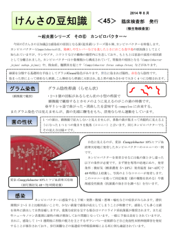 起炎菌シリーズ その6 カンピロバクター