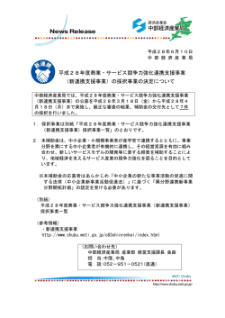 平成28年度商業・サービス競争力強化連携支援事業