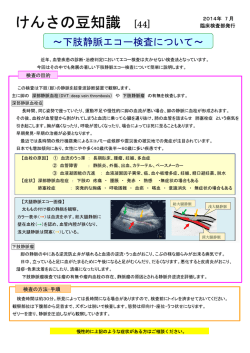 下肢静脈エコー検査について