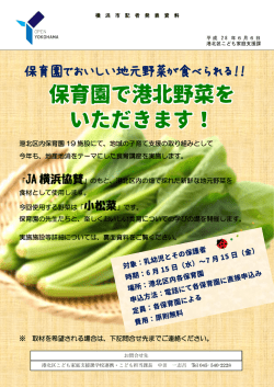 記者発表資料（PDF形式 817KB）