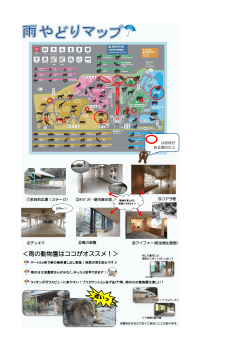 ＜雨の動物園はココがオススメ！＞