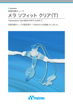 メラ ソフィット クリア（T）