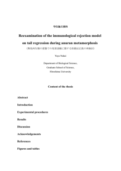 Reexamination of the immunological rejection model on tail